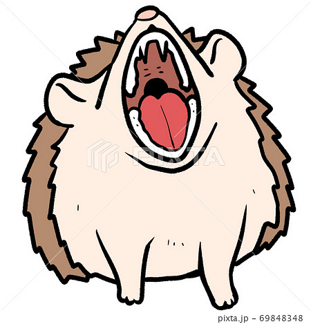 大きく口を開けたシナモンカラーのハリネズミ ジェスチャー ナビ フレンドリー 紹介 のイラスト素材