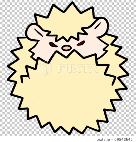 Albino color hedgehog with an angry expression (emotions, feelings, how to keep, gestures, navigation, introduction) Albino color hedgehog with an angry expression (emotions, feelings, how to keep, gestures, navigation, introduction) 69848645