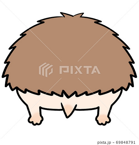 Cinnamon Color Hedgehog Back View Buttocks Stock Illustration