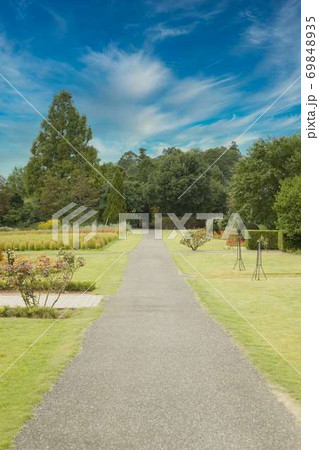 清水公園　花ファンタジア 69848935