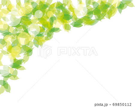 新緑の葉と光の背景イメージのイラスト素材