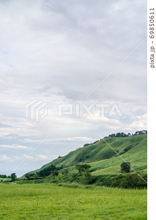 伊豆稲取の細野高原 69850611