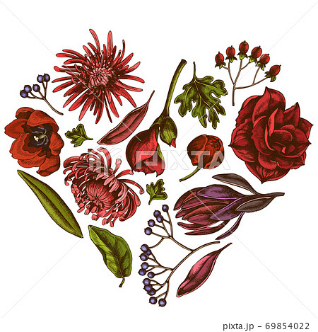 Heart floral design with colored viburnum, hypericum, tulip, aster, leucadendron, amaryllis Heart floral design with colored viburnum, hypericum, tulip, aster, leucadendron, amaryllis 69854022