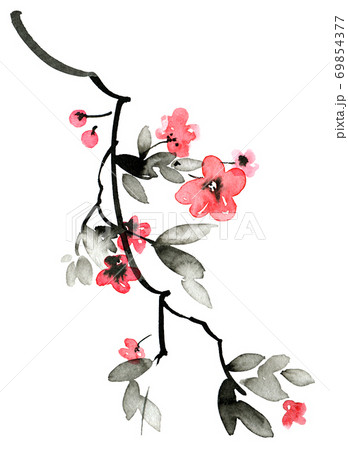 Blossom sakura tree branch 69854377
