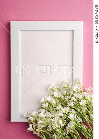 White empty photo frame mockup with mouse-ear chickweed flowers on pink purple background, top view copy space 69854388