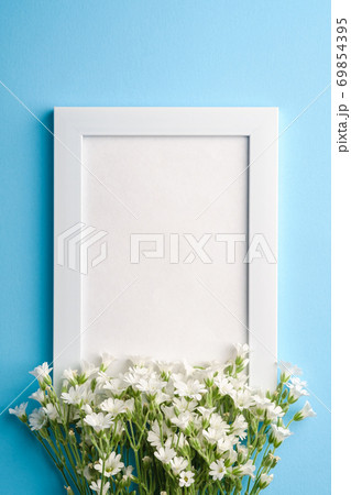 White empty photo frame mockup with mouse-ear chickweed flowers on blue background, top view copy space White empty photo frame mockup with mouse-ear chickweed flowers on blue background, top view copy space 69854395
