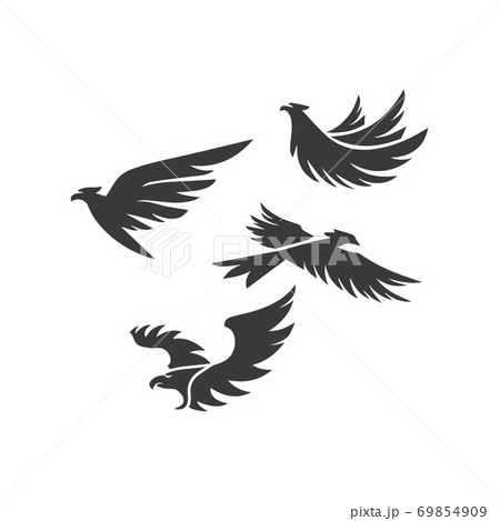 Falcon Logo Template vector Falcon Logo Template vector 69854909