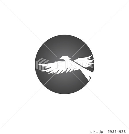 Falcon Logo Template vector Falcon Logo Template vector 69854928