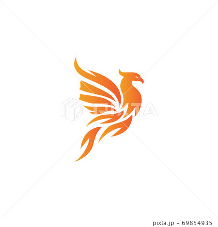 Falcon Logo Template vector Falcon Logo Template vector 69854935