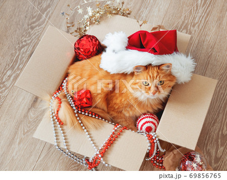 Cute ginger cat lies in box with Christmas and New Year decorations on wooden background. Fluffy pet with red Santa Claus hat. Fuzzy domestic animal during winter holiday preparation. 69856765