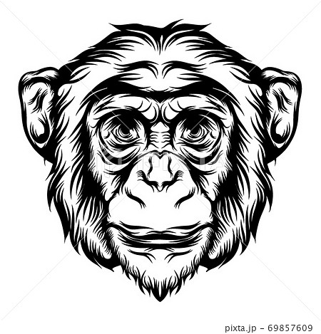 Animation Of The Monkey For The Tattoo Animal のイラスト素材