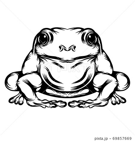 The Tattoo Animation Of The Big Frog With His のイラスト素材