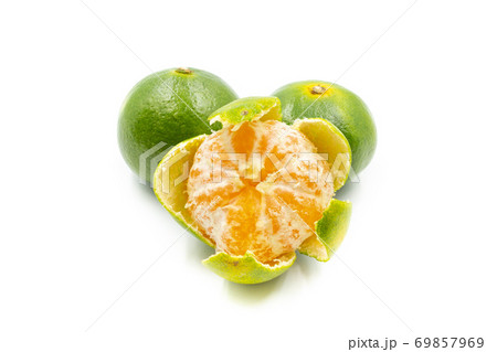 みかん　極早生みかん（品種:日南一号、宮崎県産） 69857969