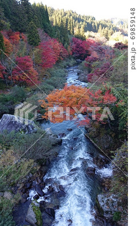 名倉川の紅葉 69859148