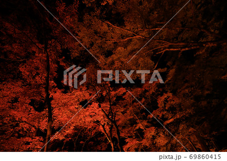 紅葉 69860415
