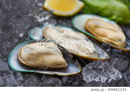 Seafood shellfish steamed mussels - Fresh mussels on black plate and ice with lemon and lettuce for cooked food Seafood shellfish steamed mussels - Fresh mussels on black plate and ice with lemon and lettuce for cooked food 69862335