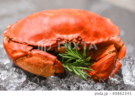 Fresh crab with ingredients lemon rosemary on ice - Seafood shellfish Steamed red crab or Boiled stone crab 69862345