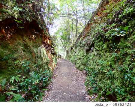 猪八重渓谷 猪八重渓谷 69862422