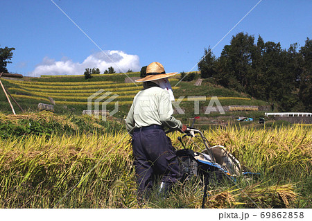 稲刈り風景 69862858