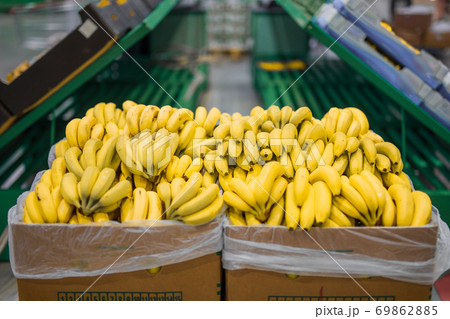 Fresh bananas in cardboard boxes on big market 69862885