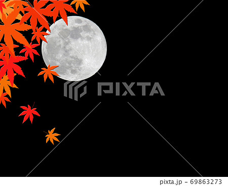 背景素材 秋イメージ 紅葉とスーパームーン コピースペースのイラスト素材