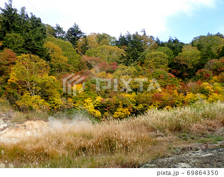 湯けむり漂う紅葉のふけの湯温泉 69864350