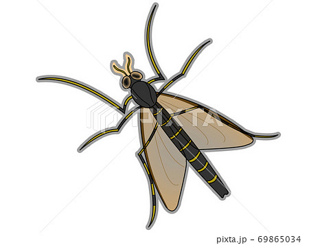 ビワコムシ ビワコムシ 69865034