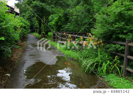 東京　玉川上水 69865142