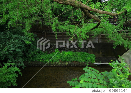 東京 玉川上水 東京 玉川上水 69865144