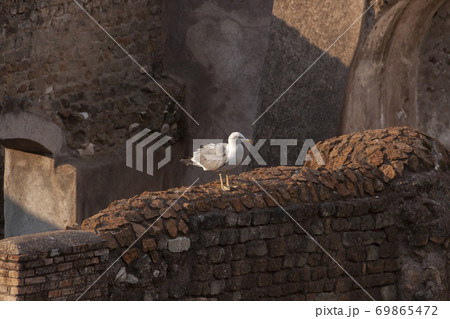 Rome, Italy - June 27, 2010 69865472