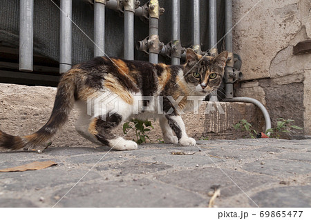 Rome, Italy - June 27, 2010 69865477