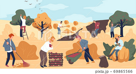 Harvesting season at farm, farming people working on field Harvesting season at farm, farming people working on field 69865566