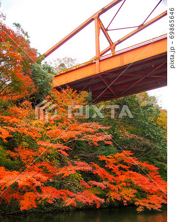 亀山湖の紅葉 亀山湖の紅葉 69865646