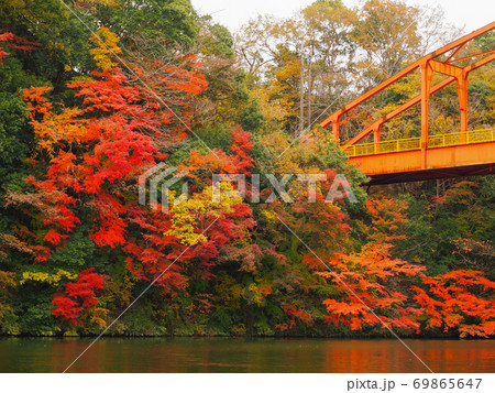 亀山湖の紅葉 69865647