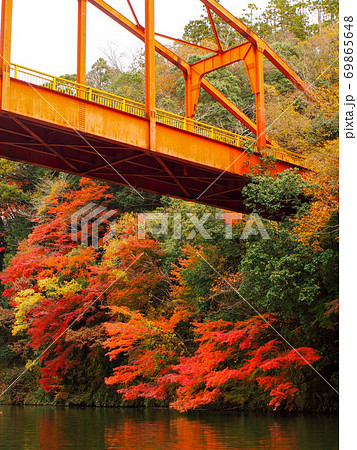 亀山湖の紅葉 69865648