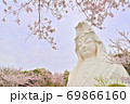 青い空と鮮やかな桜の花に囲まれた大船観音像 69866160