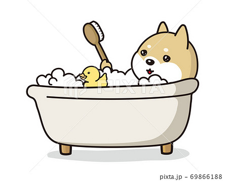 アヒルの玩具と泡風呂に入浴中の子犬 柴犬のイラスト素材
