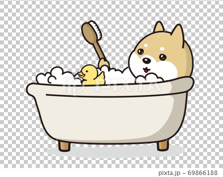 アヒルの玩具と泡風呂に入浴中の子犬 柴犬のイラスト素材
