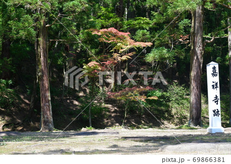 毛越寺 毛越寺 69866381