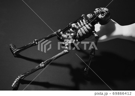 骸骨のイメージ 69866412