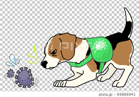 検疫探知犬・コロナ探知犬のイメージイラスト - ビーグル 69866941