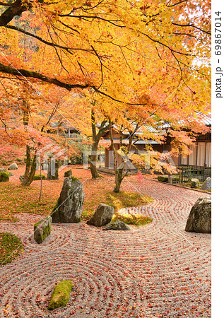 紅葉に包まれた光明禅寺 紅葉に包まれた光明禅寺 69867014