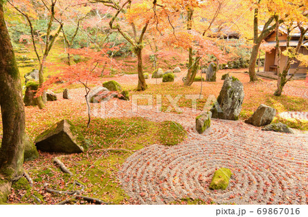 紅葉に包まれた光明禅寺 紅葉に包まれた光明禅寺 69867016