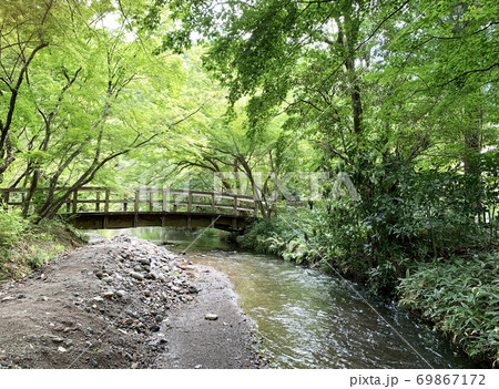 森の中の小川にかかる木製の橋、大分県由布院（湯布院）の写真素材 [69867172] - PIXTA