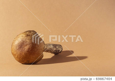 Forest mushroom on beige background 69867404