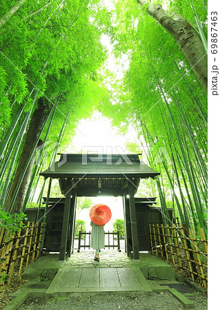 府中市 妙光院 府中市 妙光院 69867463
