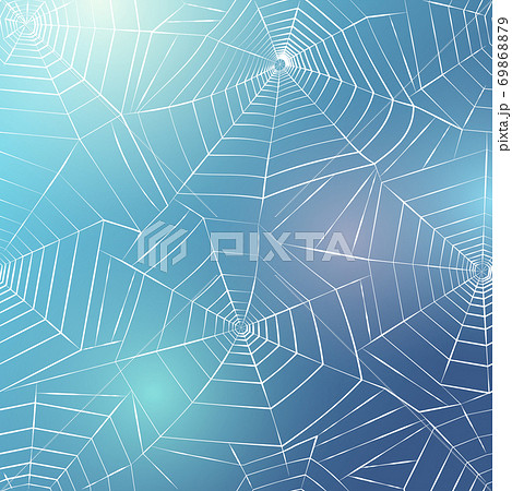 Spider web concept Spider web concept 69868879
