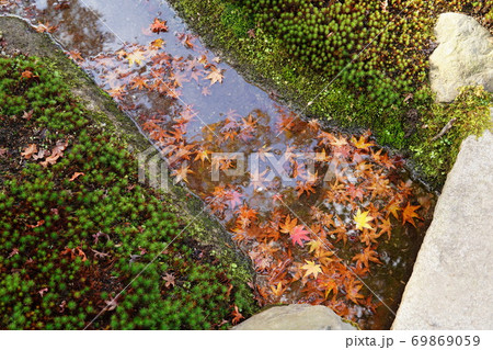 万博記念公園　汎庵・万里庵の紅葉 69869059