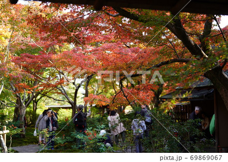 万博記念公園　汎庵・万里庵の紅葉 69869067