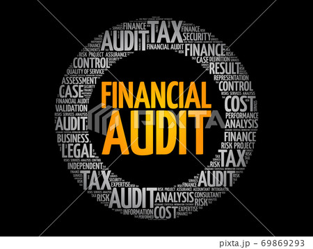 Financial Audit circle word cloud collage 69869293